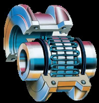 G55 series Grid Coupling with brake wheel